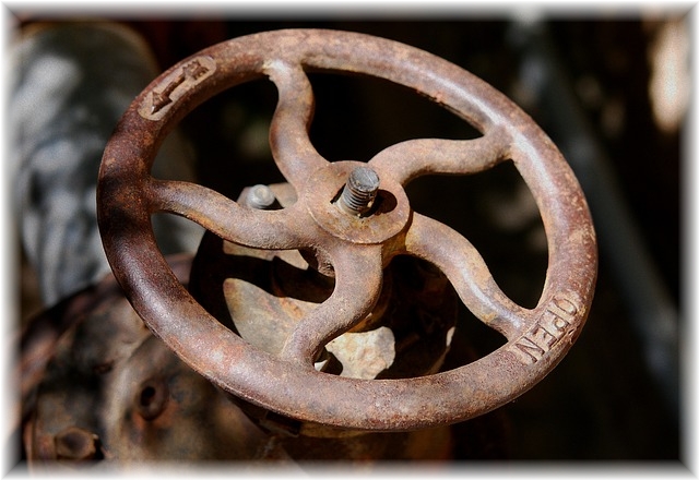 にんにくすっぽん卵黄